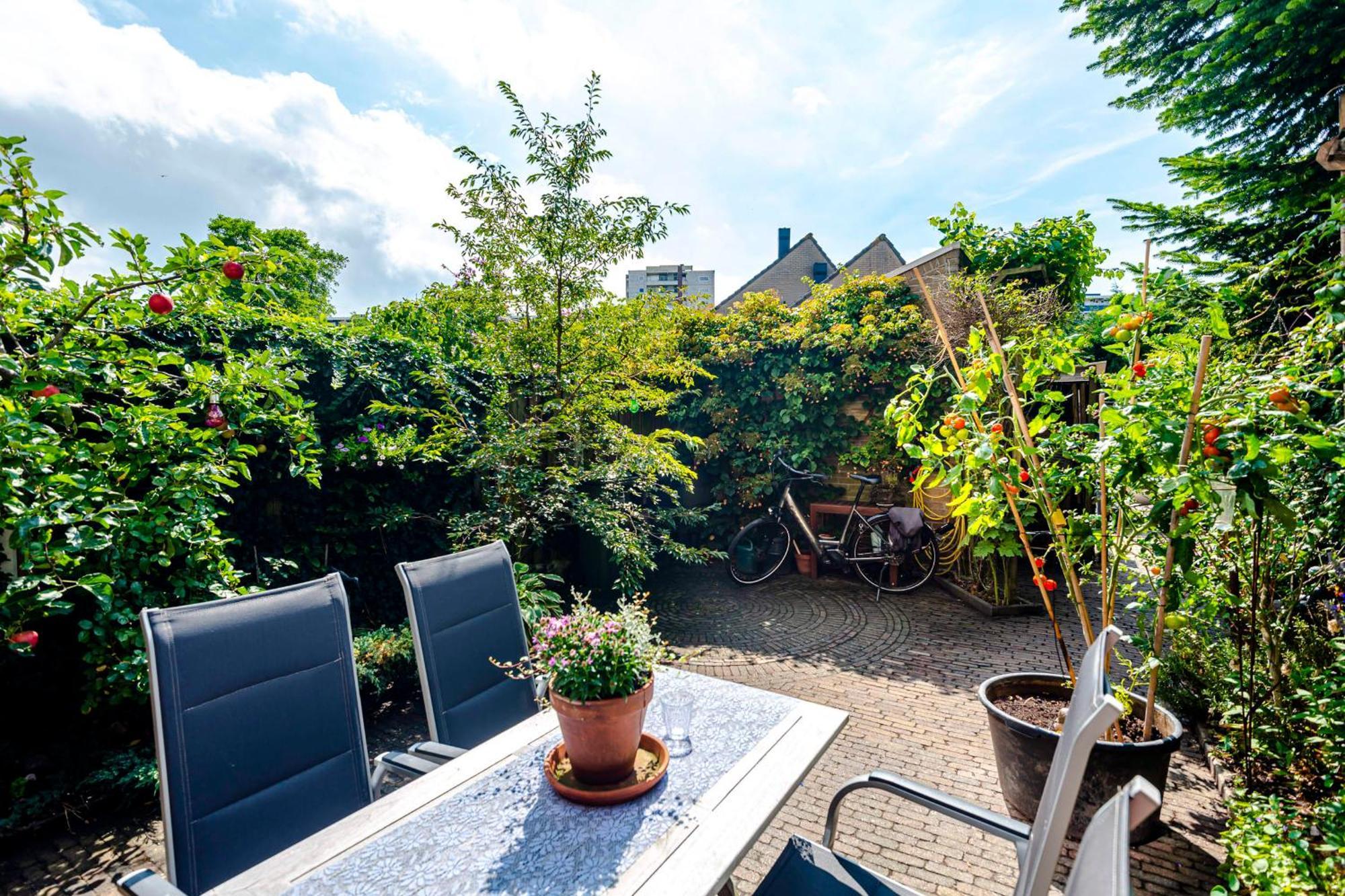 B&B De Ranck Гарлем Экстерьер фото